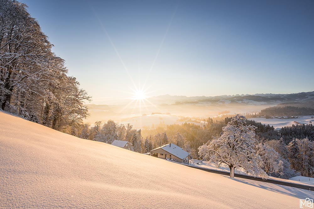 Winter Winterlandschaft Toggenburg St. Gallen Schweiz Sonnenaufgang