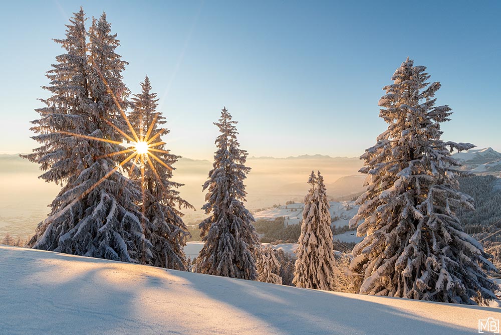 Winter Winterlandschaft Ruppenpass Altstätten St. Gallen Schweiz Schneelandschaft